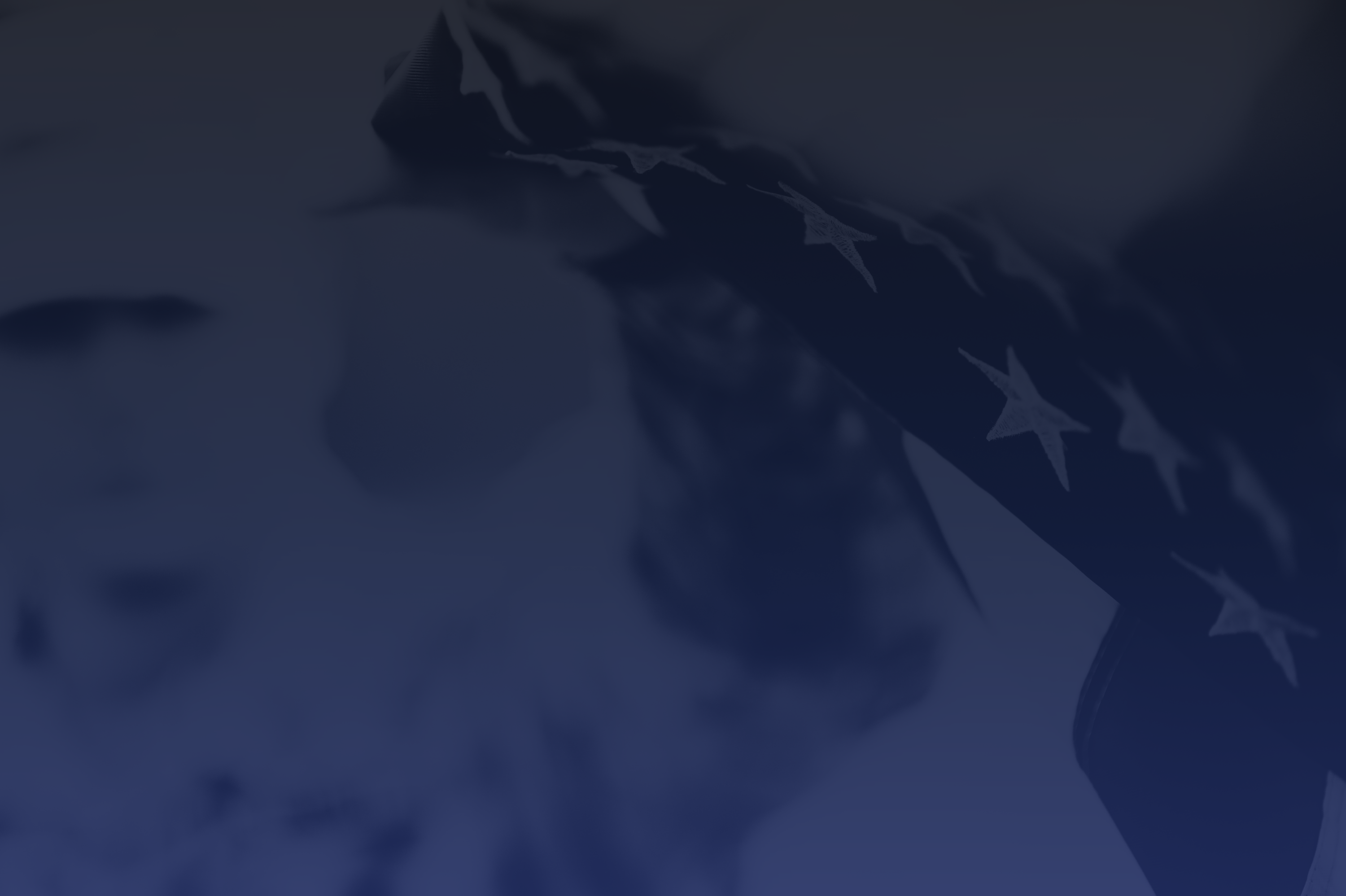 background-list2